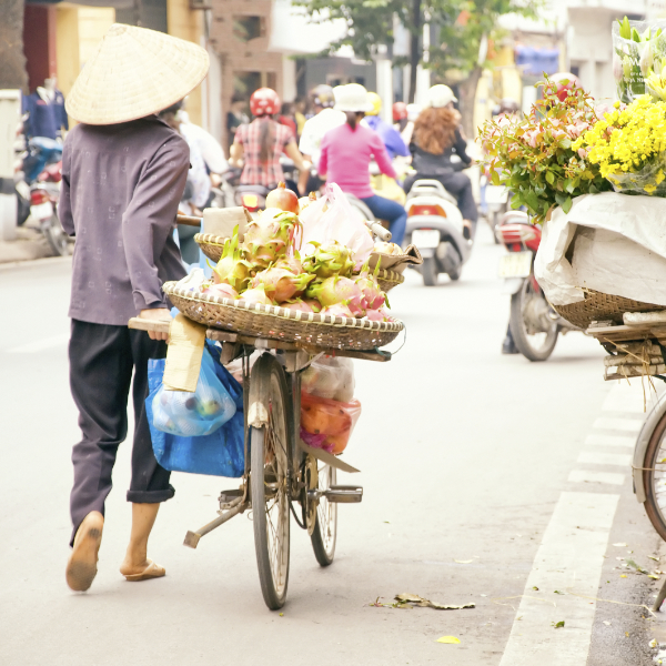 Hanoi Stopover 4 Days